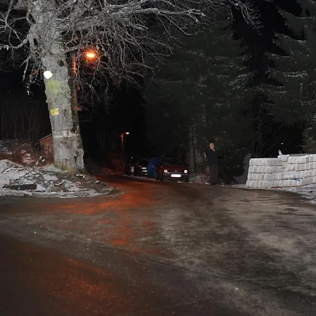 Miletic Kopaonik
