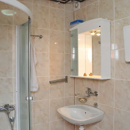 Apartament Miletic *