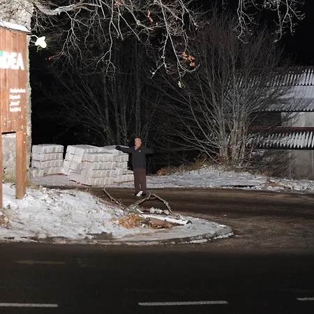 Apartament Miletic *